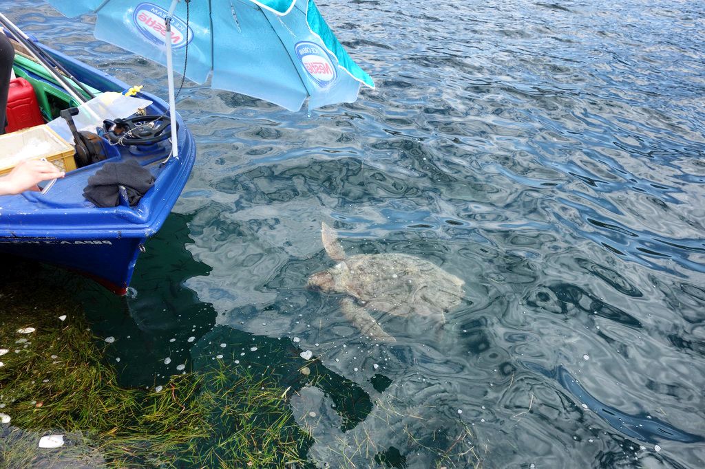   Argostoli Kefalonija 